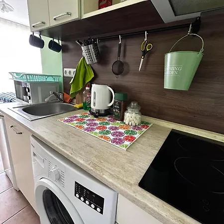 Kiro'ss Flat * Slăntjev Brjag